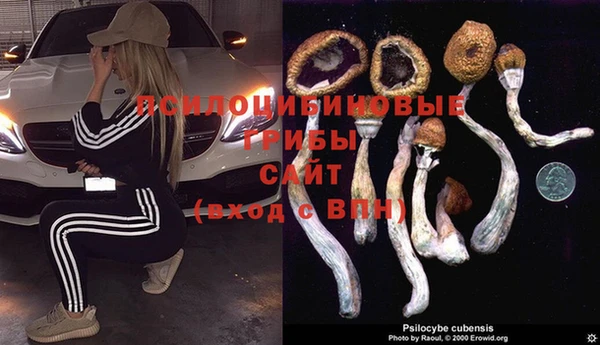 амфетамин Горнозаводск
