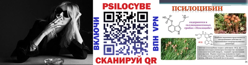 Псилоцибиновые грибы MAGIC MUSHROOMS  МЕГА ONION  Донской  как найти закладки 